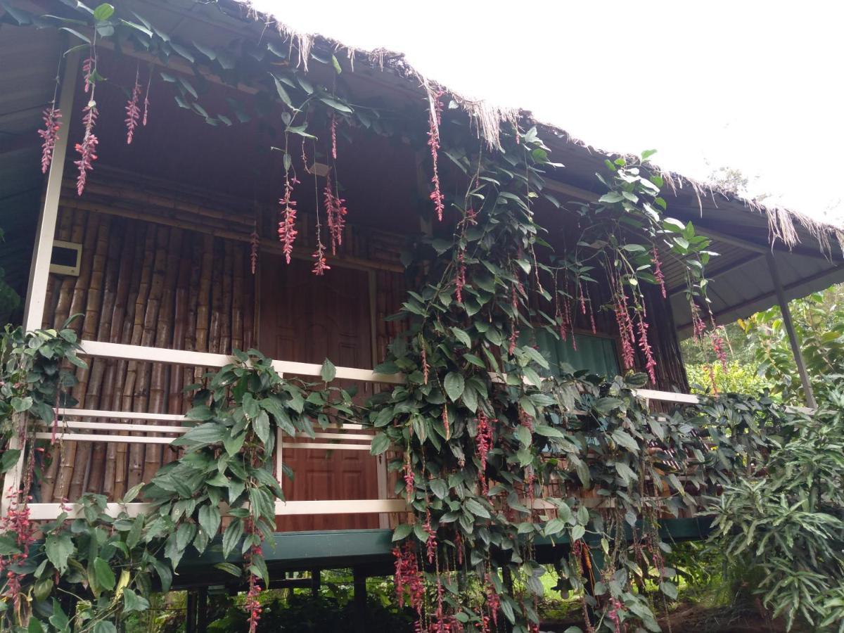 Koomankolly Resort Thirunelly Экстерьер фото