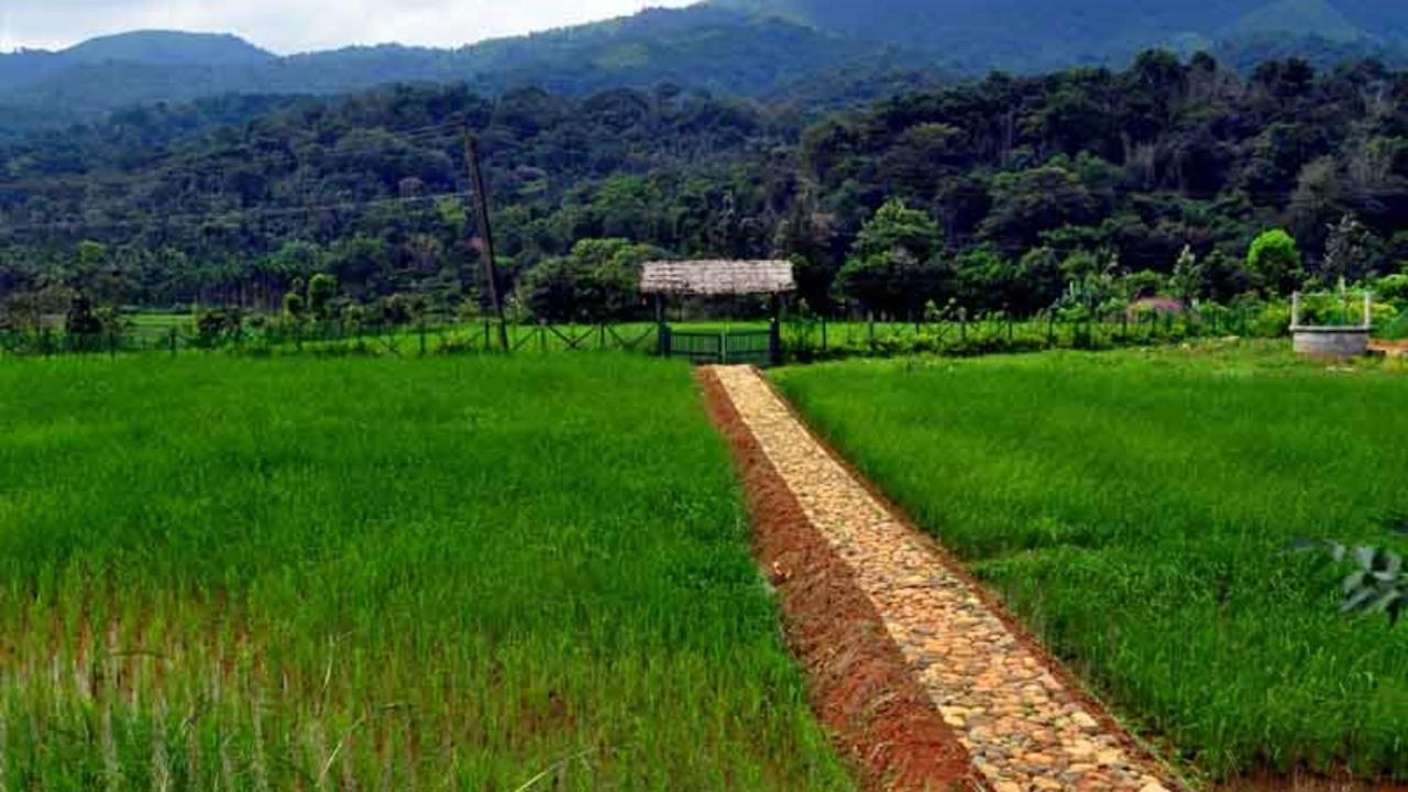 Koomankolly Resort Thirunelly Экстерьер фото